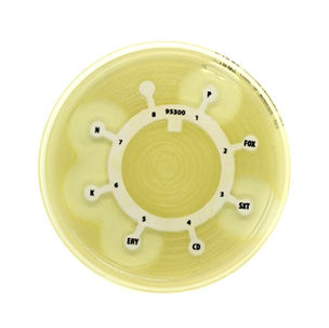 Lynch Medical Services LTD