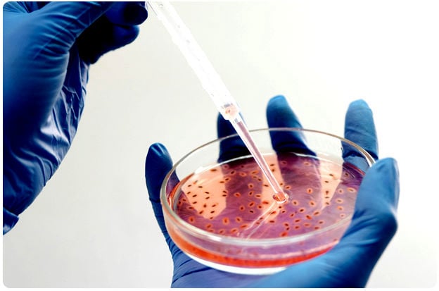 Diagnostics Lynch Medical Services Ltd
